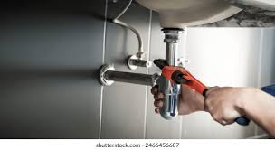 Best Residential Plumbing Services  in Wyoming, IL